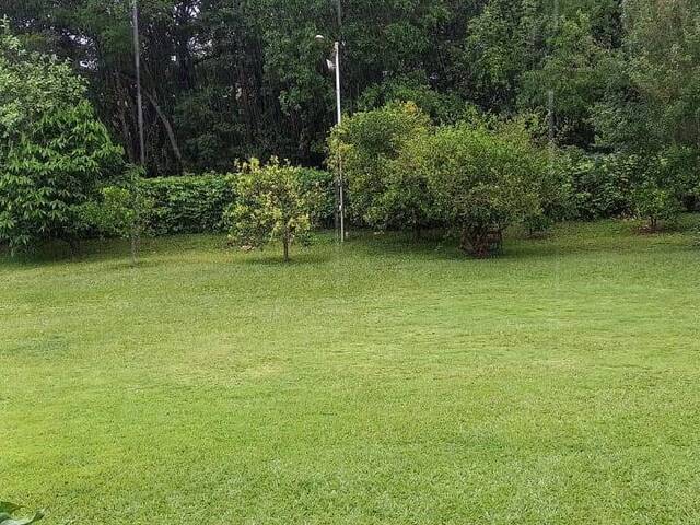 #50 - Chácara para Venda em Elói Mendes - MG - 2