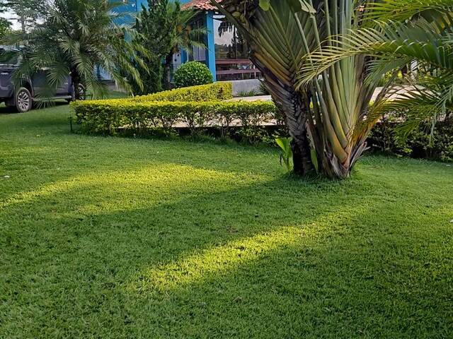 Chácara para Venda em Elói Mendes - 5